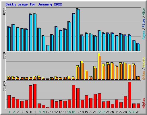 Daily usage for January 2022