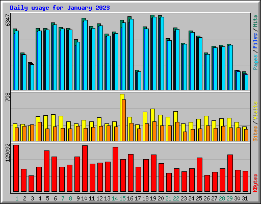 Daily usage for January 2023