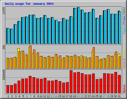 Daily usage for January 2024