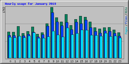 Hourly usage for January 2019