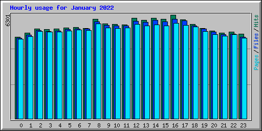 Hourly usage for January 2022