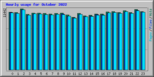 Hourly usage for October 2022