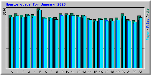 Hourly usage for January 2023