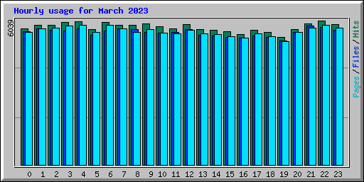 Hourly usage for March 2023