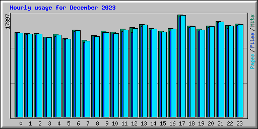 Hourly usage for December 2023