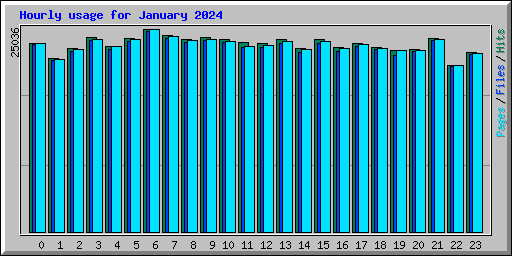 Hourly usage for January 2024