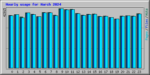 Hourly usage for March 2024