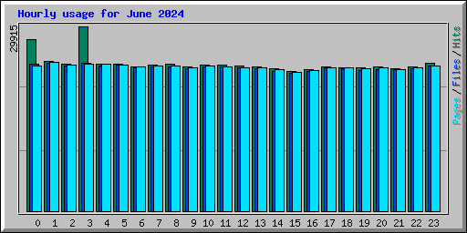 Hourly usage for June 2024
