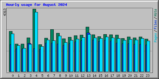 Hourly usage for August 2024
