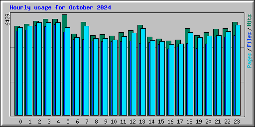 Hourly usage for October 2024