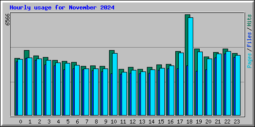 Hourly usage for November 2024